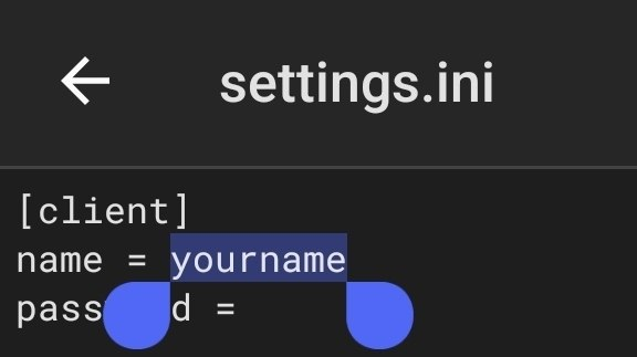 settings.ini — поля name и password